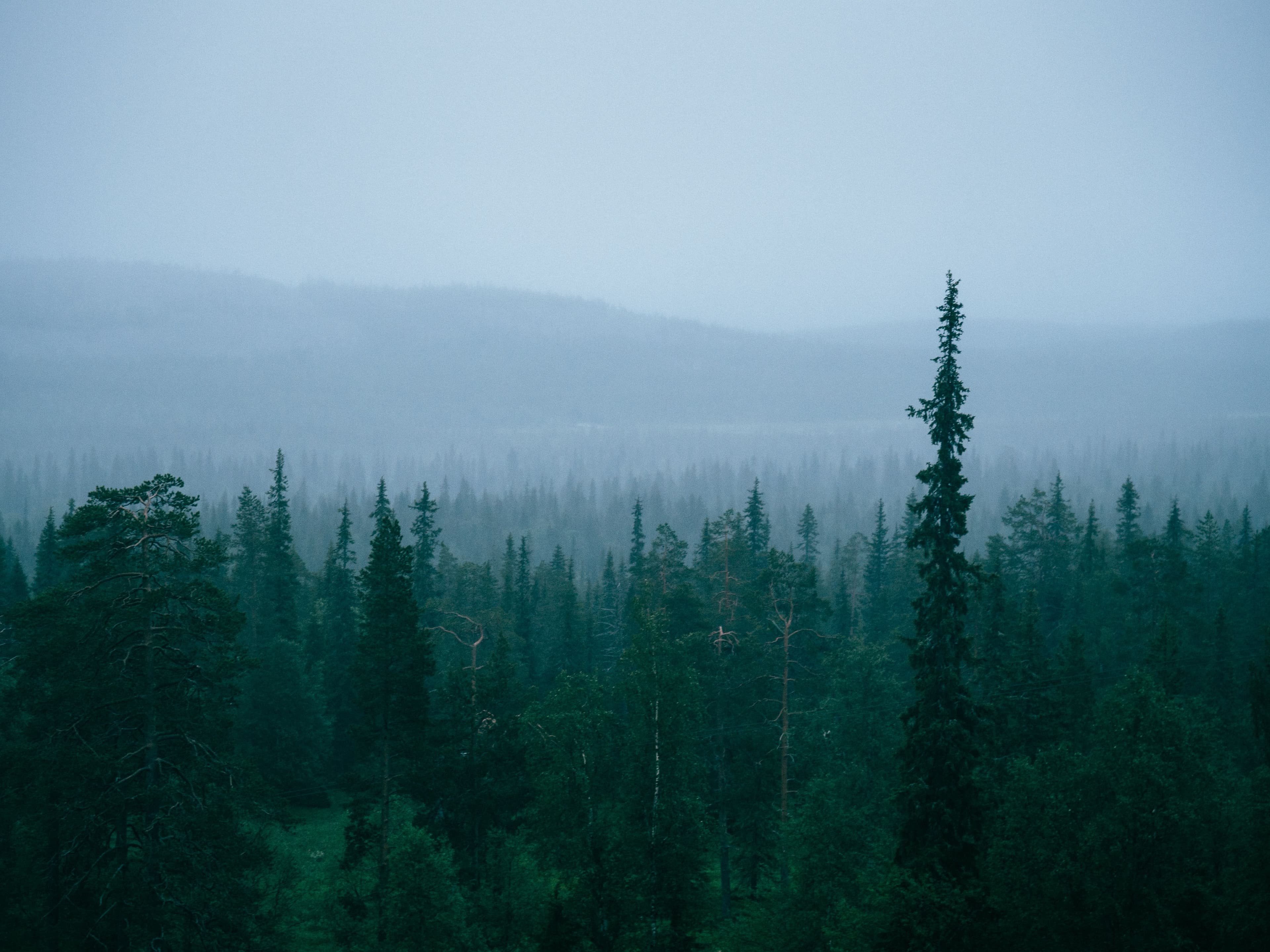 Lapland Safaris hiking Luosto summer